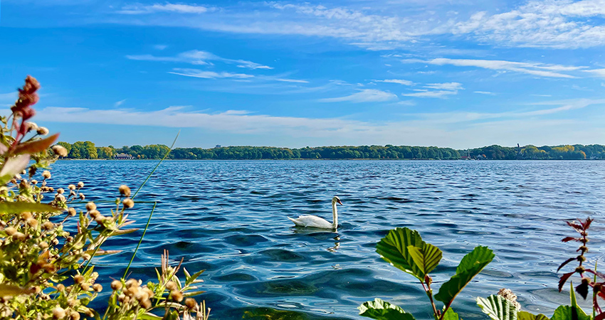 New method locks phosphorus in lake water to improve water quality